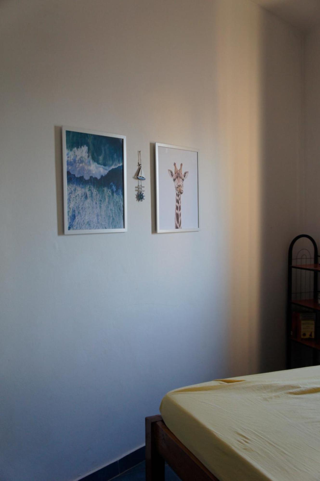 Apart-Hotel Ca Elsa Sal Rei Habitación foto